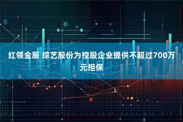 红领金服 综艺股份为控股企业提供不超过700万元担保