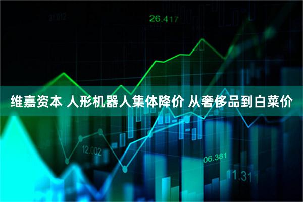维嘉资本 人形机器人集体降价 从奢侈品到白菜价