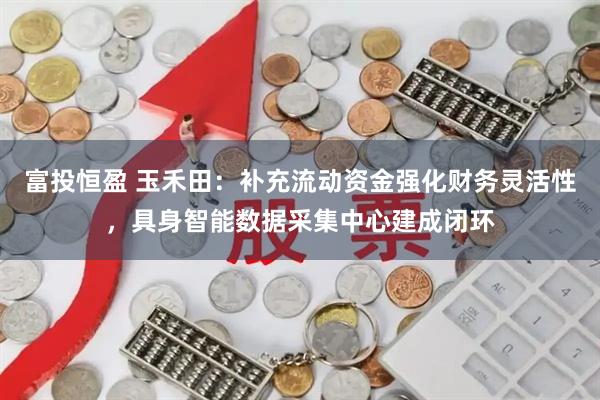 富投恒盈 玉禾田：补充流动资金强化财务灵活性，具身智能数据采集中心建成闭环