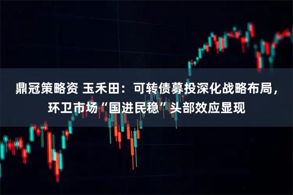 鼎冠策略资 玉禾田：可转债募投深化战略布局，环卫市场“国进民稳”头部效应显现